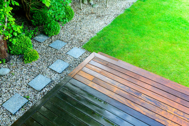 Best Roof Washing  in Brooklyn Park, MN